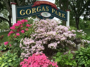 gorgas sign